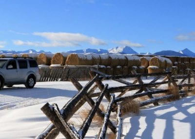 Agriculture - Snow and Fence