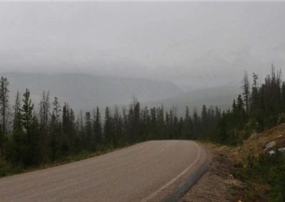 Roads - Into Fog