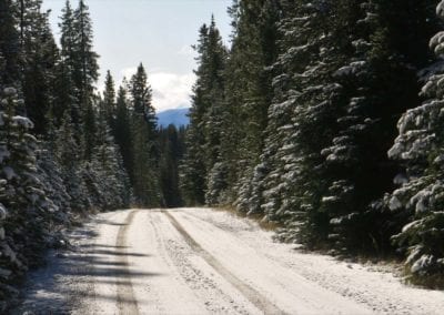 Roads - Sunny Snowy Road