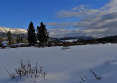 Winter - Landscape